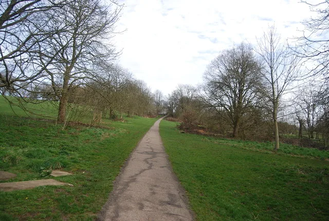 A path across Farnham Park, the medieval deer park the torchlit procession climbs to on fireworks night