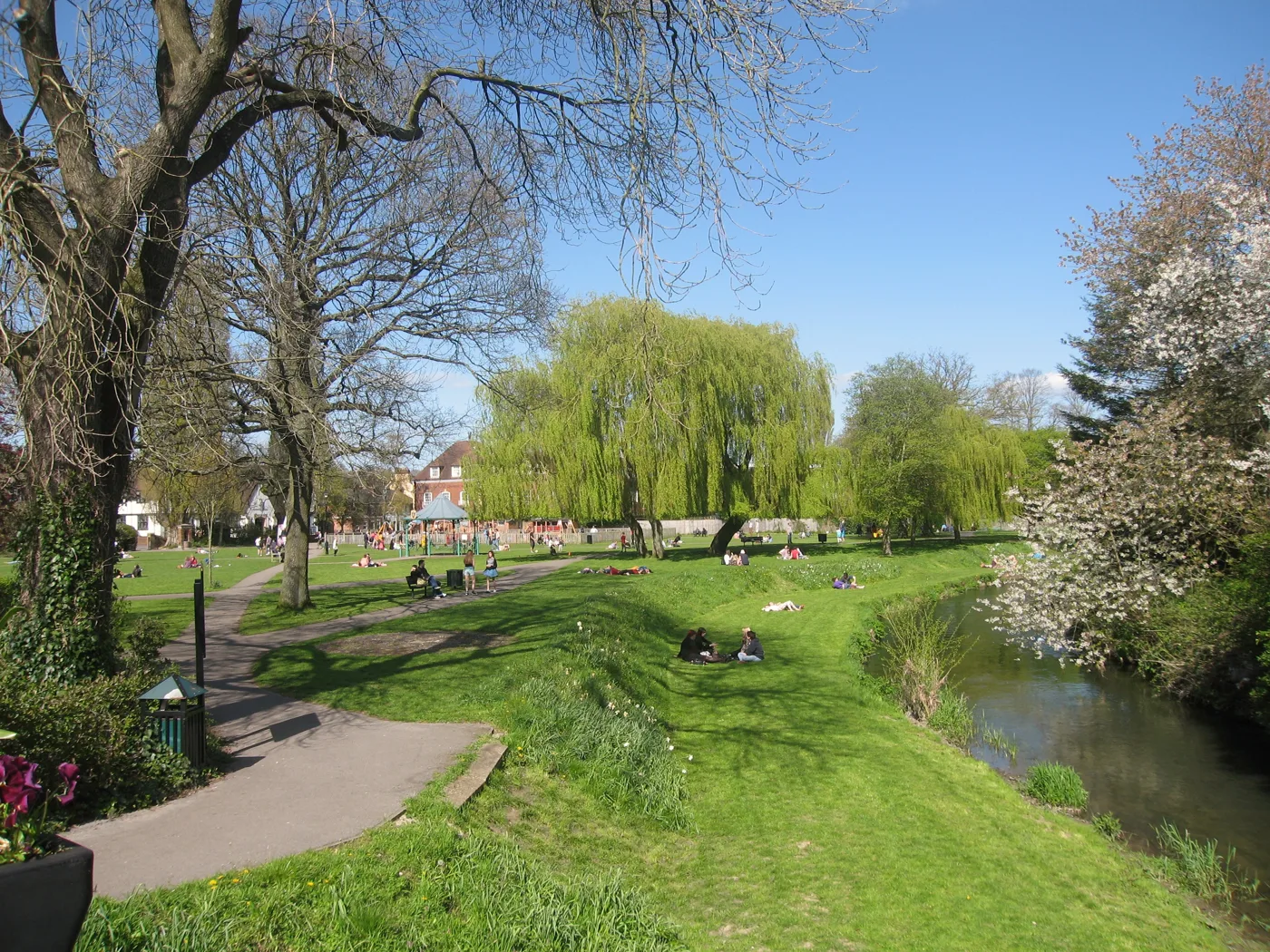 Gostrey Meadow, Farnham, where the Lantern Festival gathers at 5pm on Thursday 29 October