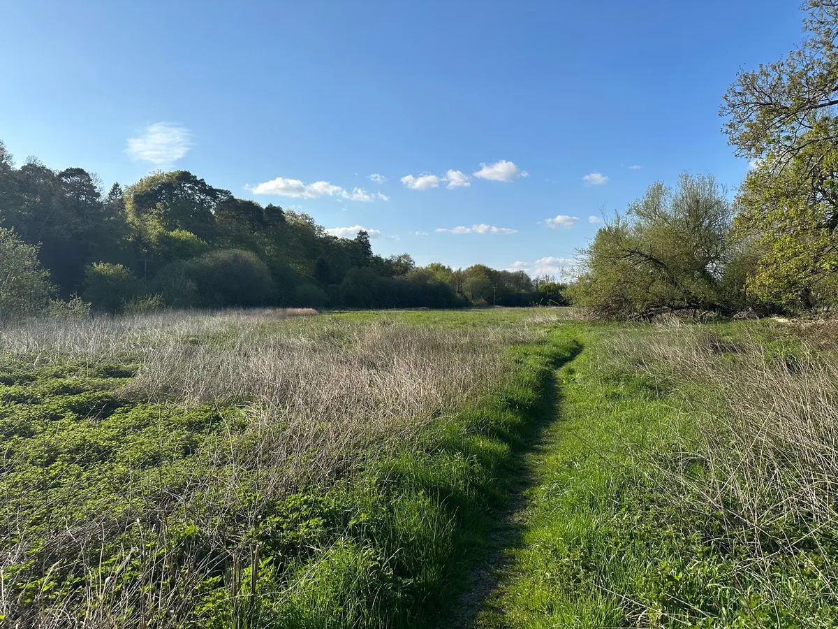 The riverside at the Moor Park SANG site